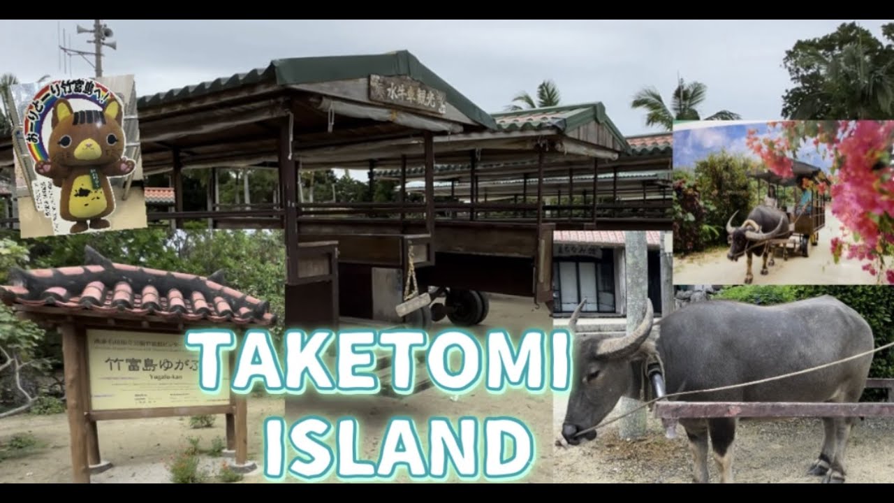 our First Time of  adventure in Taketomi Island #beautiful around / okinawa ryukyu village..​⁠GG