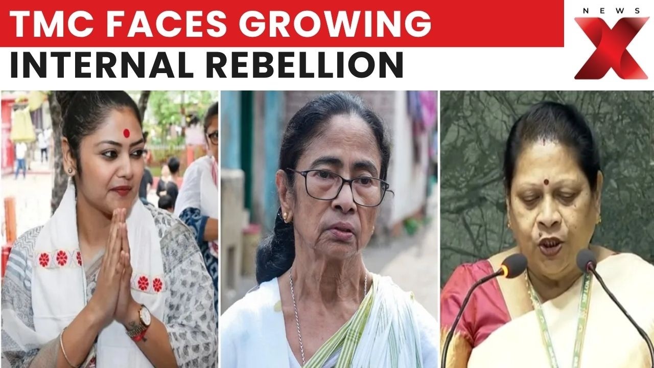 TMC In Turmoil! 19 MPs Reportedly Walk Away From Mamata Banerjee | Bengal Politics