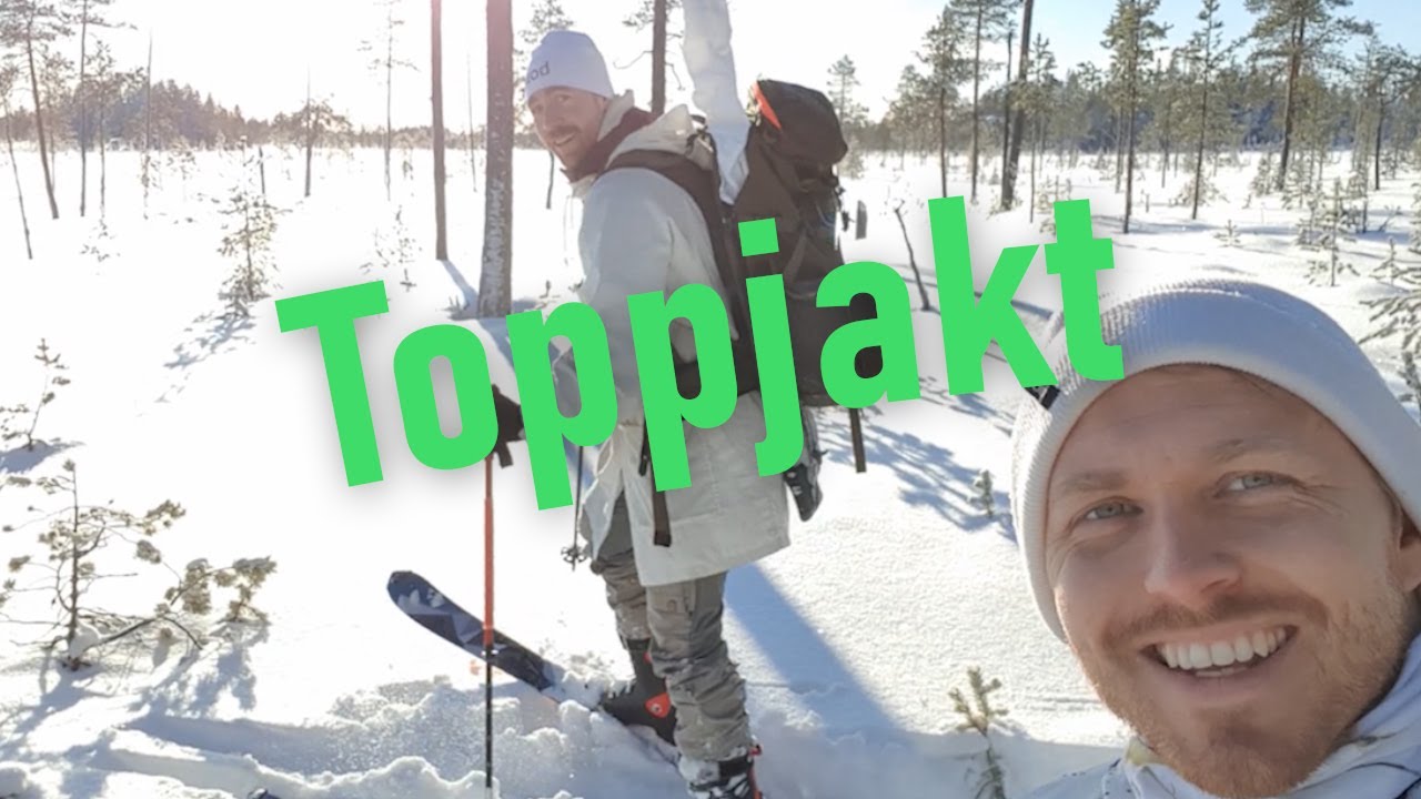 Toppjakt (Capercaillie hunt during winter)