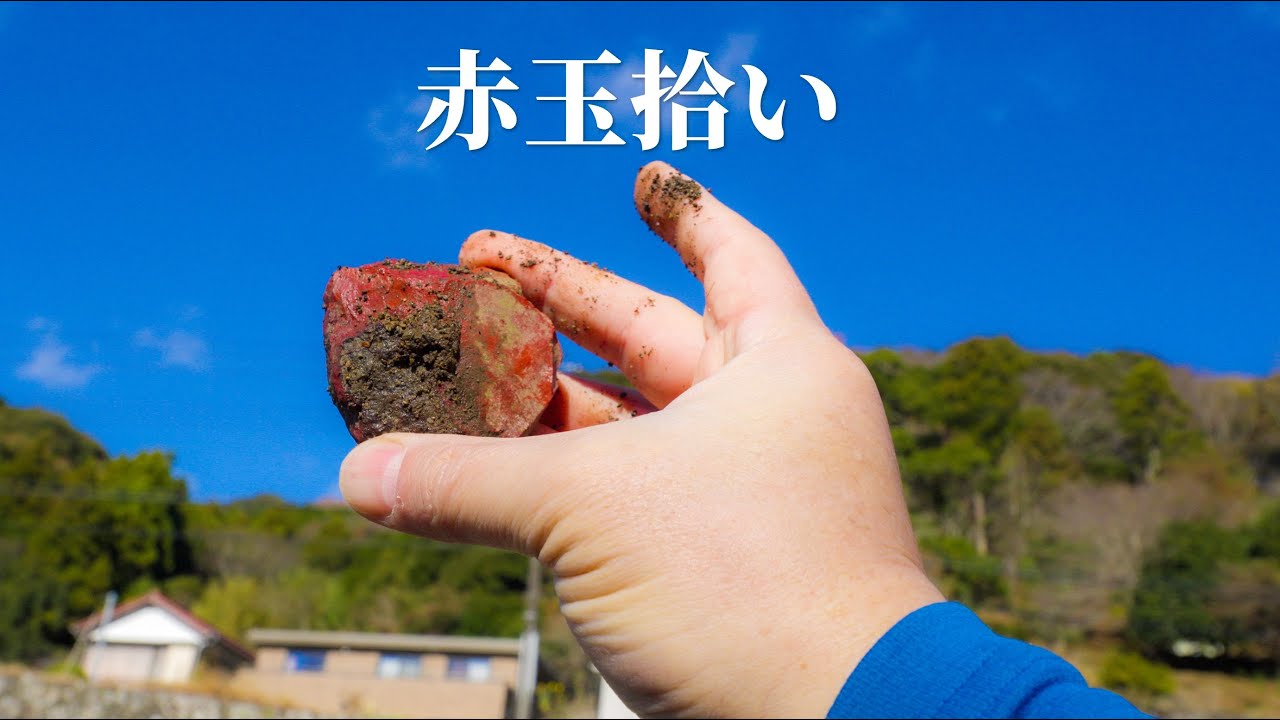 【河原で石拾い】ザクザク拾える赤玉狩り