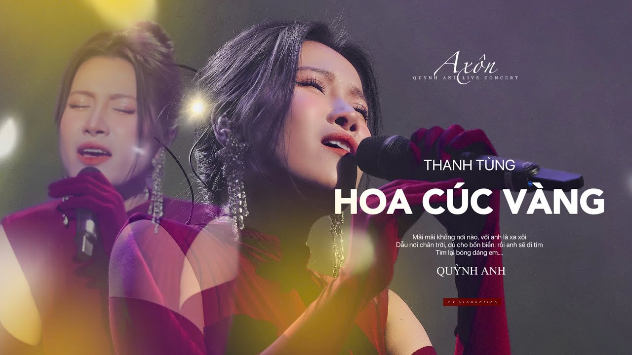 HOA CÚC VÀNG [Thanh Tùng] - QUỲNH ANH (Axôn - Quỳnh Anh Live Concert)