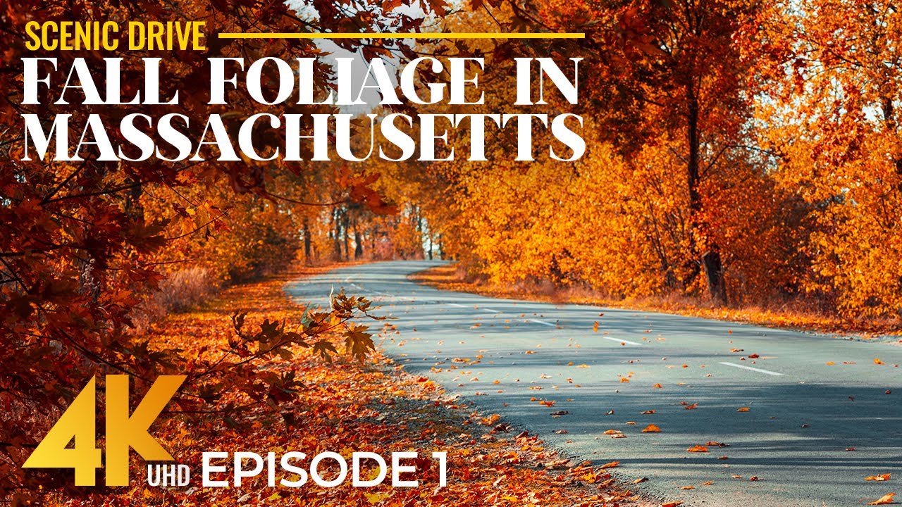 Massachusetts Fall Foliage Drive | 4K Scenic Autumn Road Trip Through New England - Episode 1