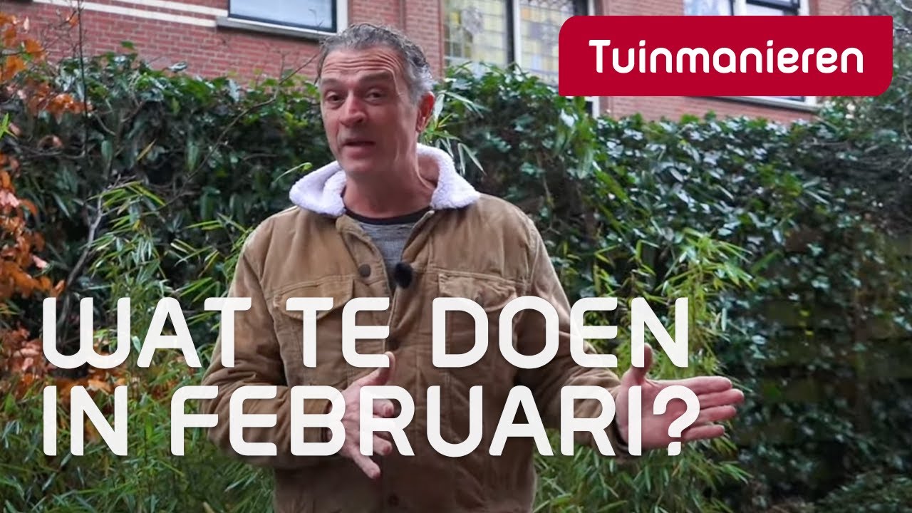 Wat te doen begin februari in de tuin - compilatie | Tuinmanieren