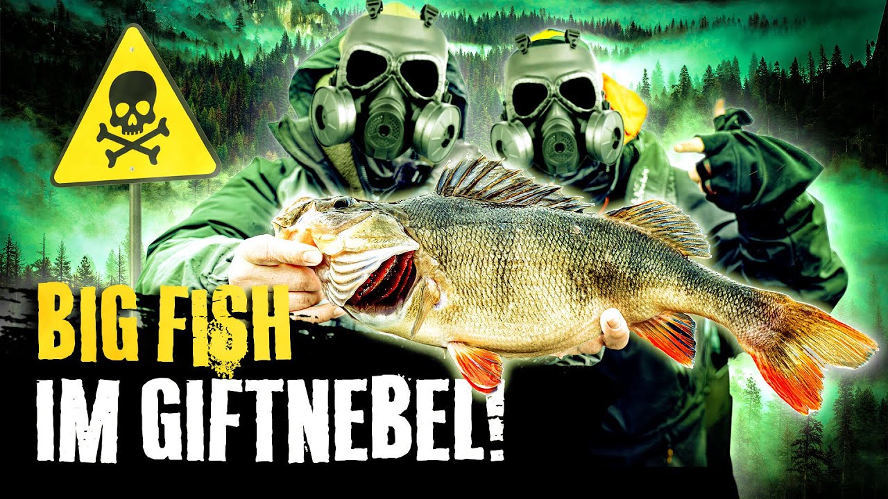 Big Fish im Giftnebel 💀
