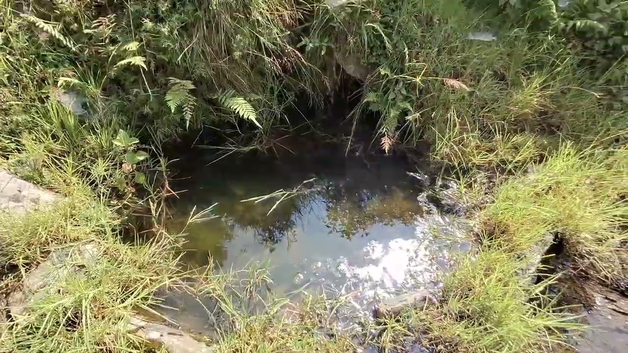 Utrakhand me here bhre khet  mera  pyara mayka Dhol gawo 6 March 2026