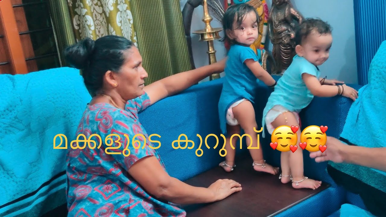 മക്കളുടെ കുറുമ്പ് 🥰🥰👭👭 #thadathansvlog  #cutebaby #thamburu #veena 