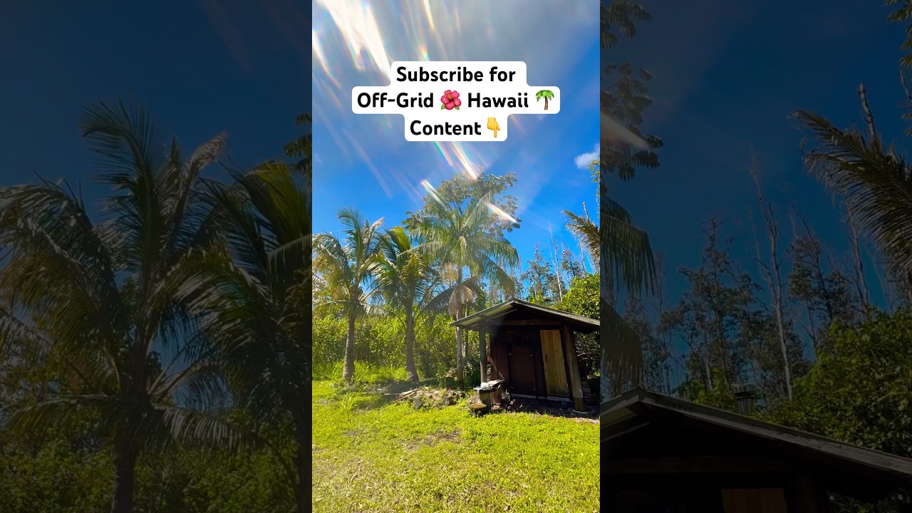 Subscribe 🌴 Support Small Creators Sharing Off-Grid Hawaii Life