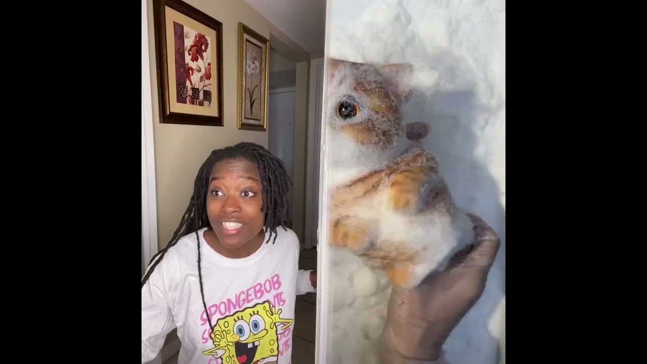 🤣👌👌👌2025 pov Must-Watch Crazy Clips Compilation 