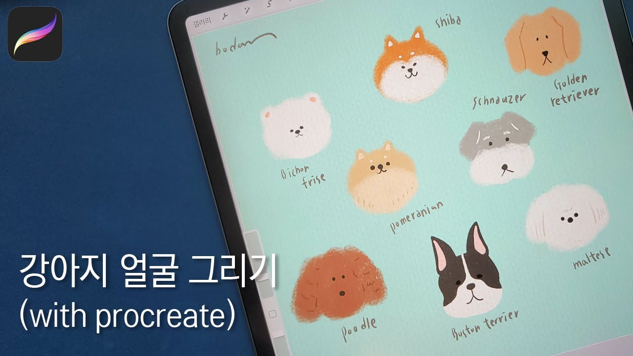 ENG)귀여운 강아지 그리기/cute puppy drawing /아이패드 프로크리에이트