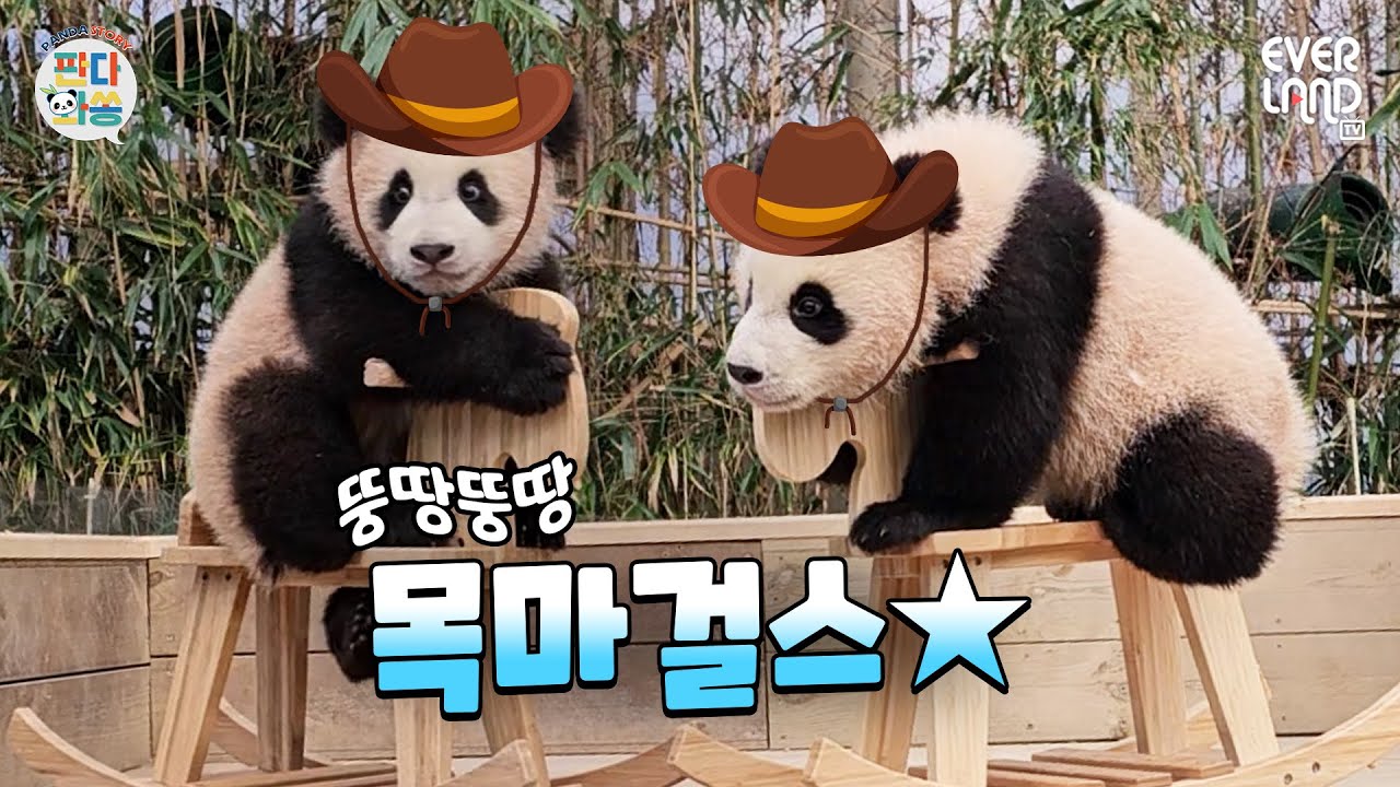 [ENG] 푸언니의 목마를 물려받은 루이&후이의 반응은? feat.푸질머리｜#판다와쏭 #144