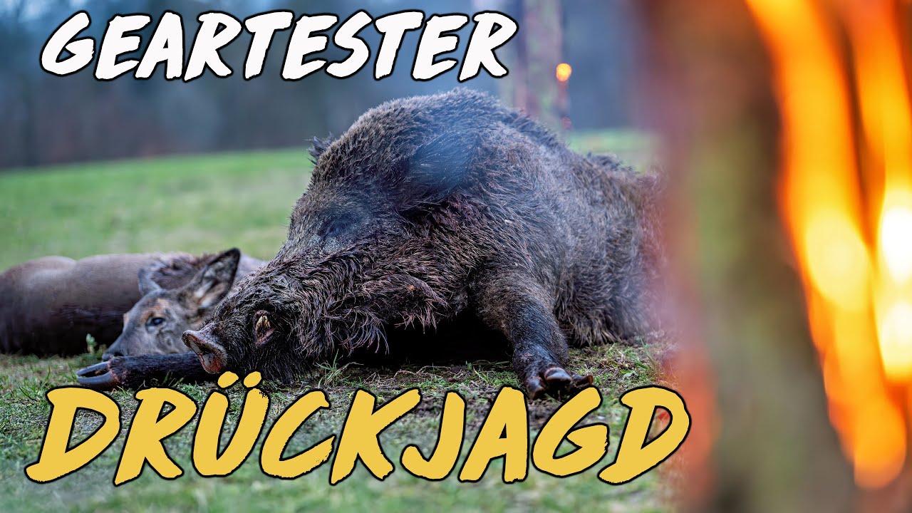 Geartester Dr&uuml;ckjagd 24/25