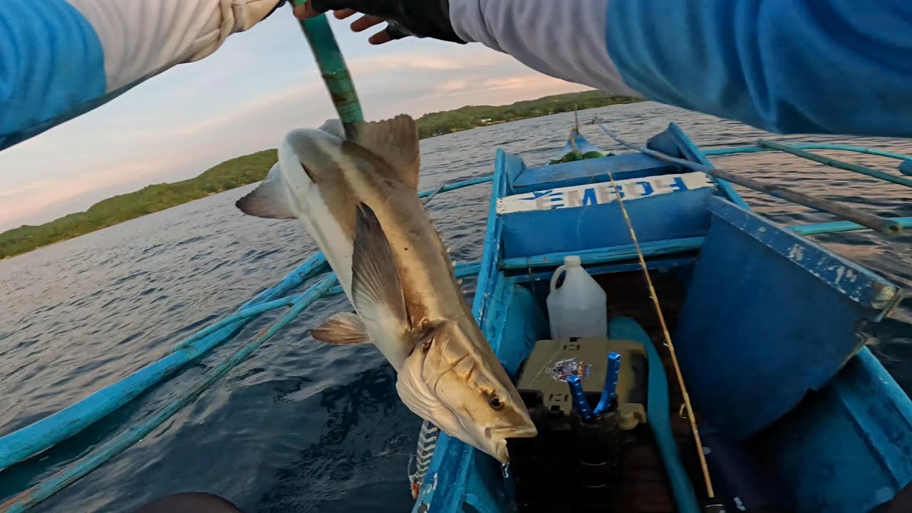 Wagyu of the Sea | Jigging Fishing Philippines