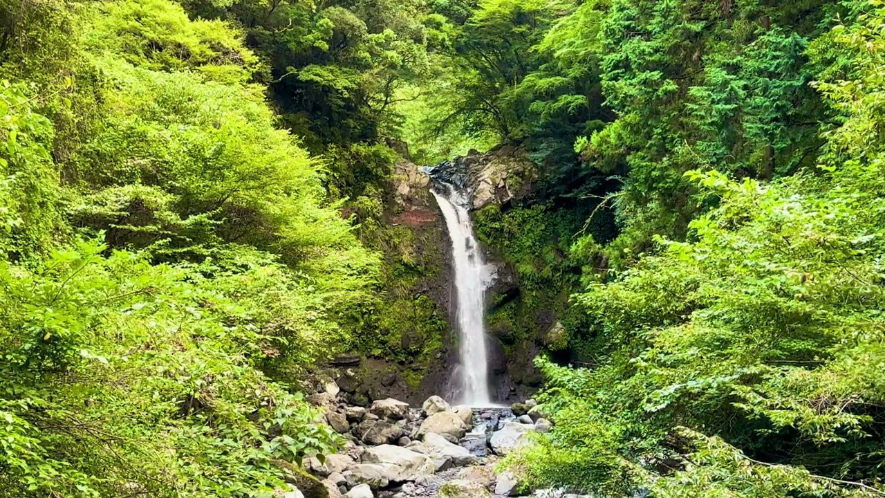 大棚の滝