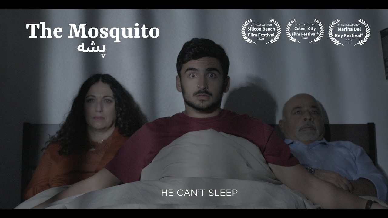 The Mosquito | a USC psychological horror short film