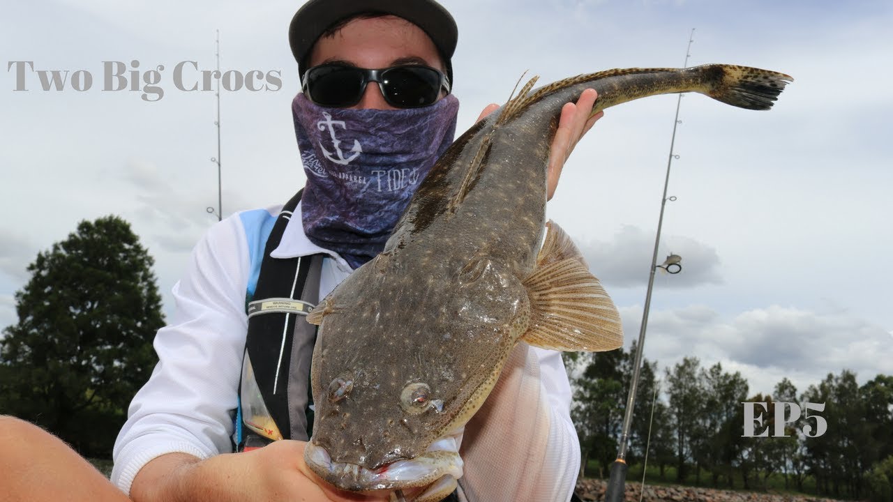 Two Big River Flathead in back to back days | MORPETH FISHING