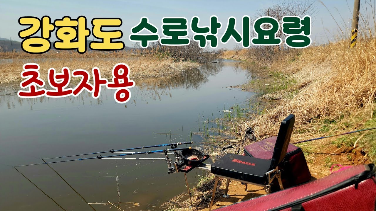 강화도 수로낚시 요령!! 초보자용 짬낚시용 붕어낚시