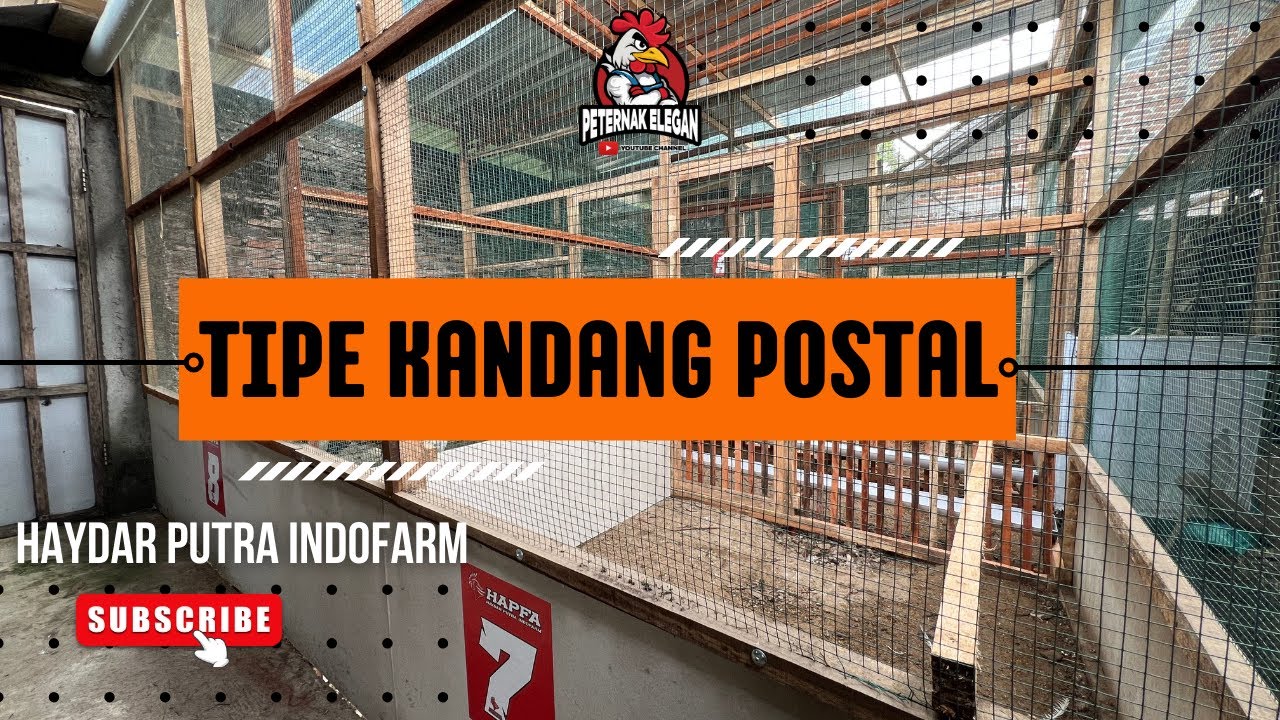 TIPE KANDANG POSTAL UNTUK INDUKAN AYAM KUB