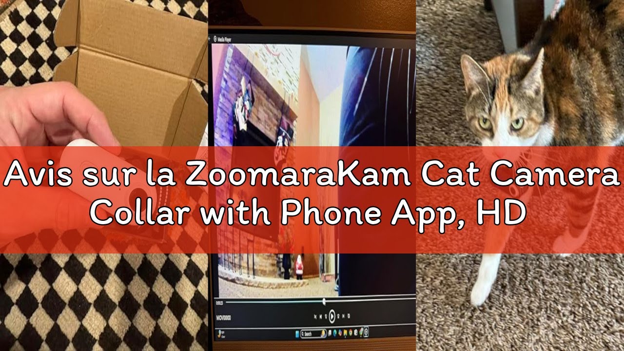 Avis sur la ZoomaraKam Cat Camera Collar with Phone App, HD 1080P Video Recording, POV Camera for Do