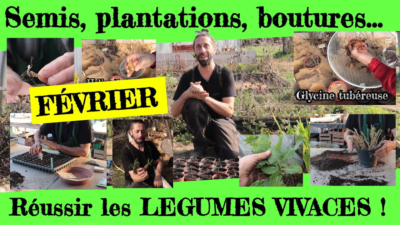 Réussir ses légumes vivaces. Semis, plantations, boutures... en Février !