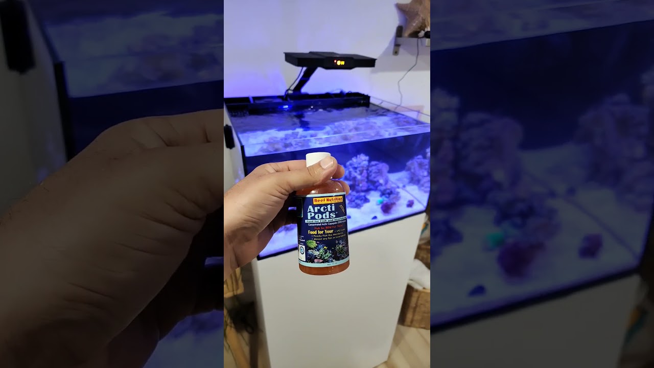 if your fish are not eating try this
