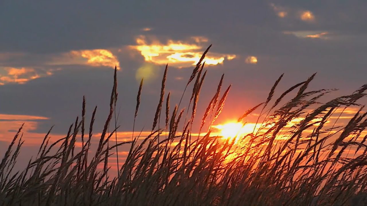 Grand River Grasslands