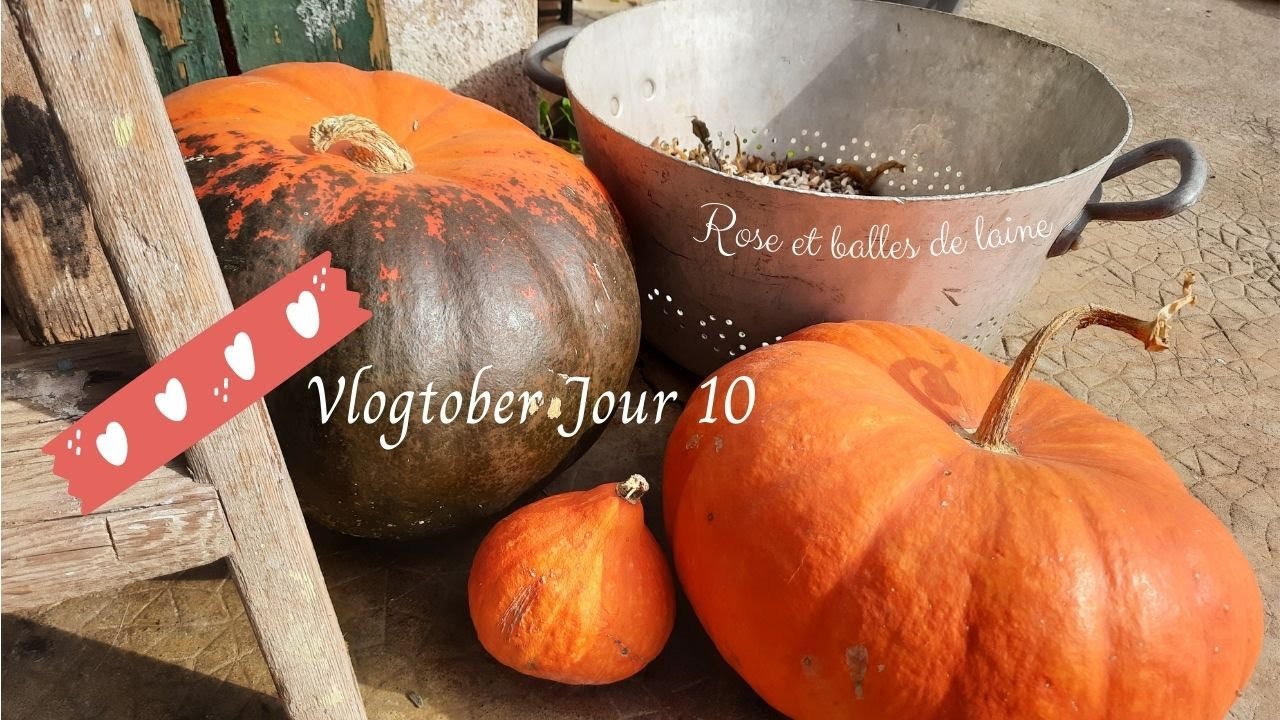 Vlogtober jour 10