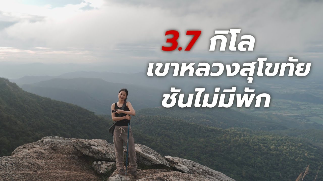 เขาหลวงสุโขทัย 2025 (ไม่มีรถส่วนตัว) พร้อมค่าใช้จ่ายและจุดขึ้นรถอย่างละเอียด 