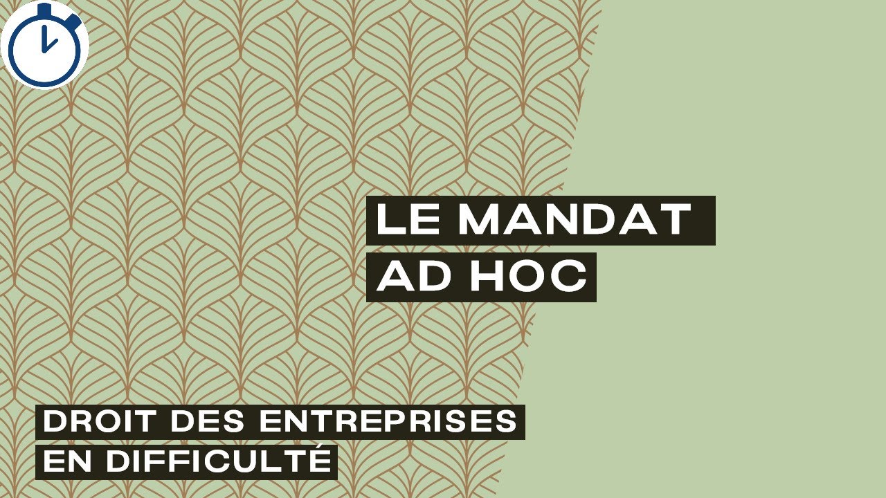 Le Mandat Ad Hoc : [Droit des entreprises en difficulté]