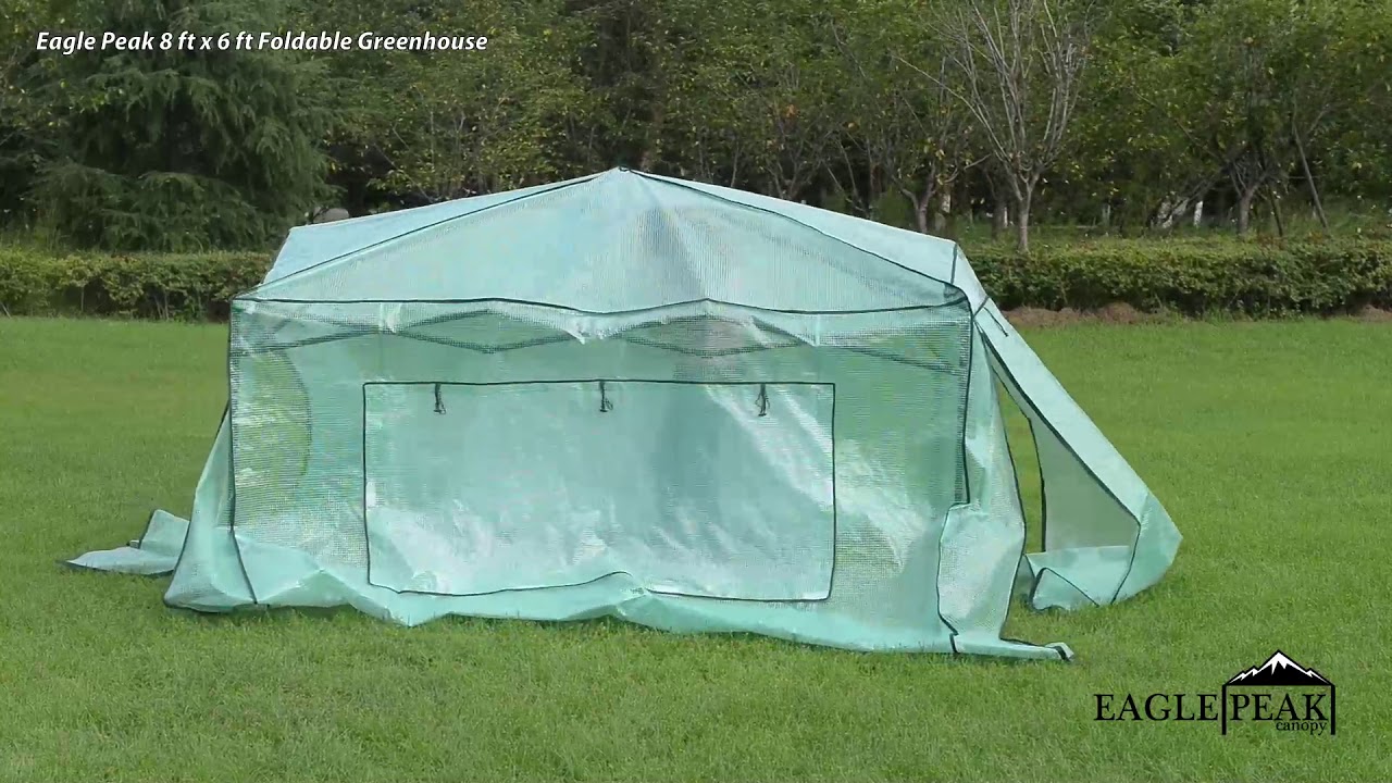EAGLE PEAK 8' x 6' Portable Walk-In Greenhouse Easy Setup