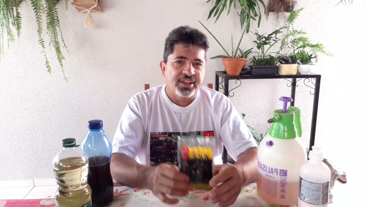 como Matar o tripis na aquaponia e hortaliças  com inseticida caseiro como e fazer a fórmula