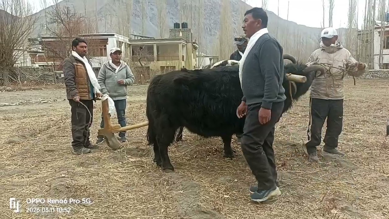 HUNDER Village saka 11 Mar 26 