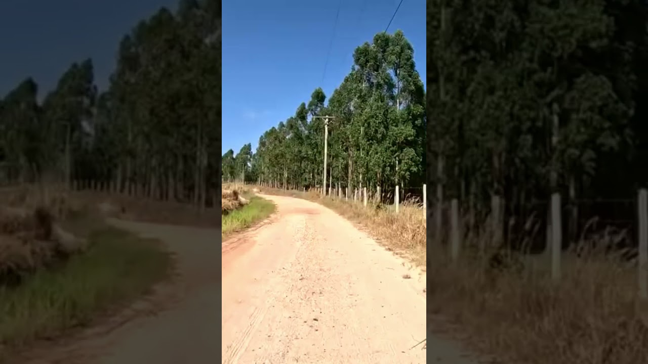 Estrada de terra de Fazer #lucasr17 #sp #fazer250 #yamahafazer250 #viagemdemoto