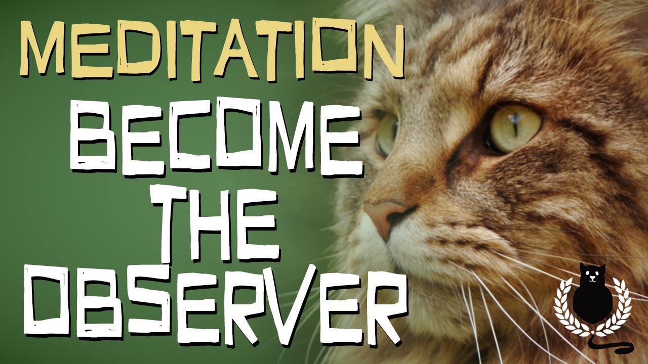 Meditation - Become the Observer! | Stoicism