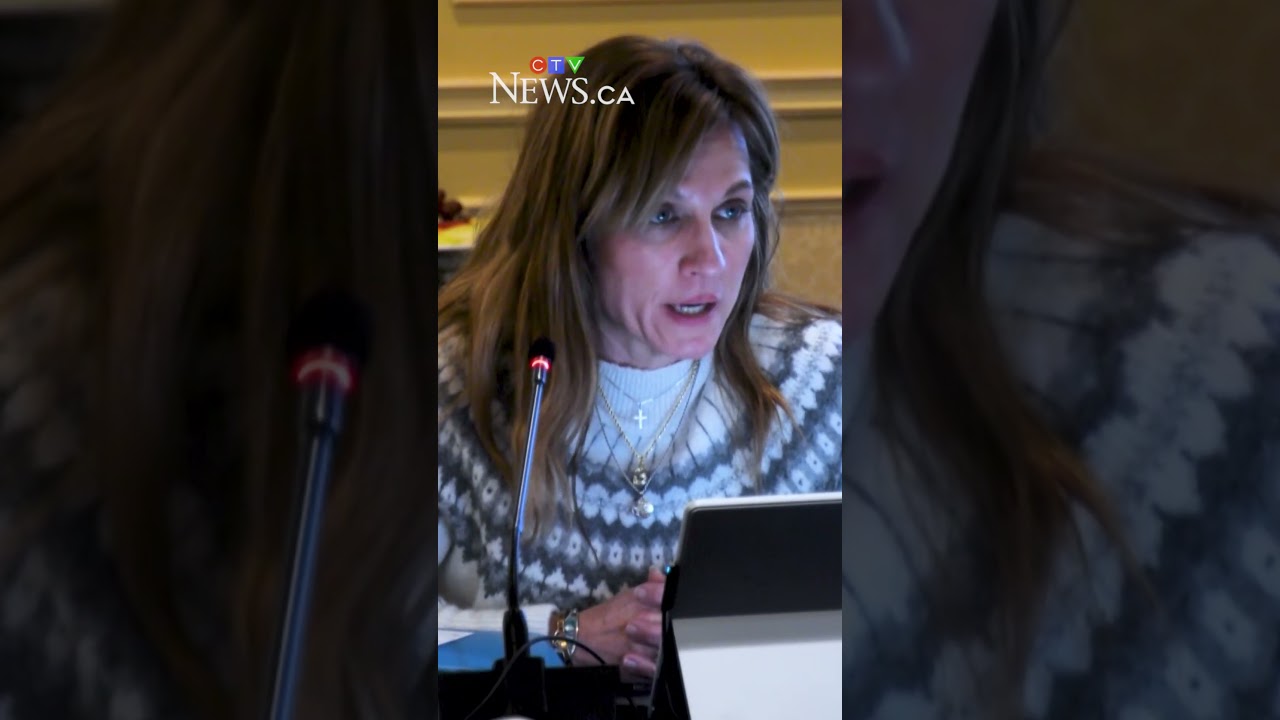 Community agencies lay out proposals part of province’s pre-budget consultation