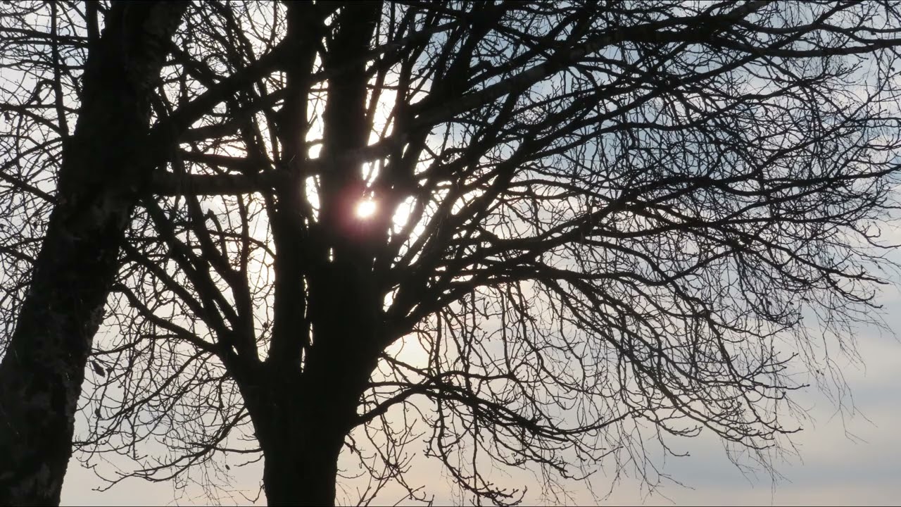 Wintersonne
