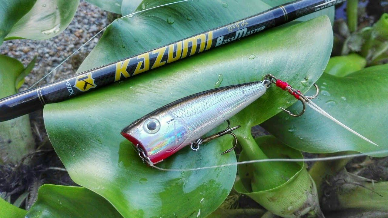 Pesca ao Achigã com POPERS