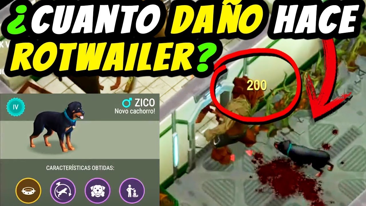 ROTWAILER EN LABORATORIO ES LA OSTIA 🤭 LAST DAY ON EARTH