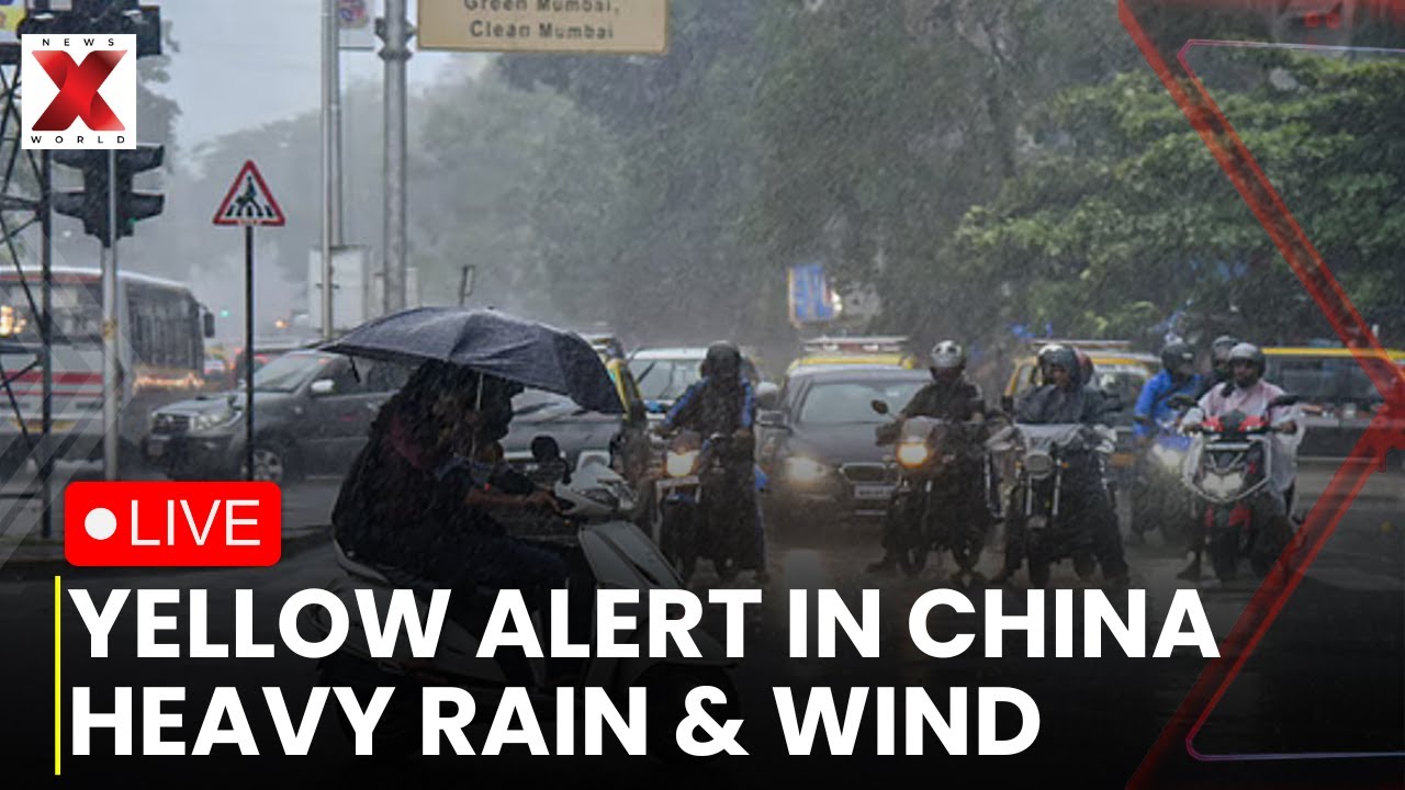 Typhoon Tapah LIVE : Typhoon Tapah Makes Landfall in China, Yellow Alert Issued | NewsX World