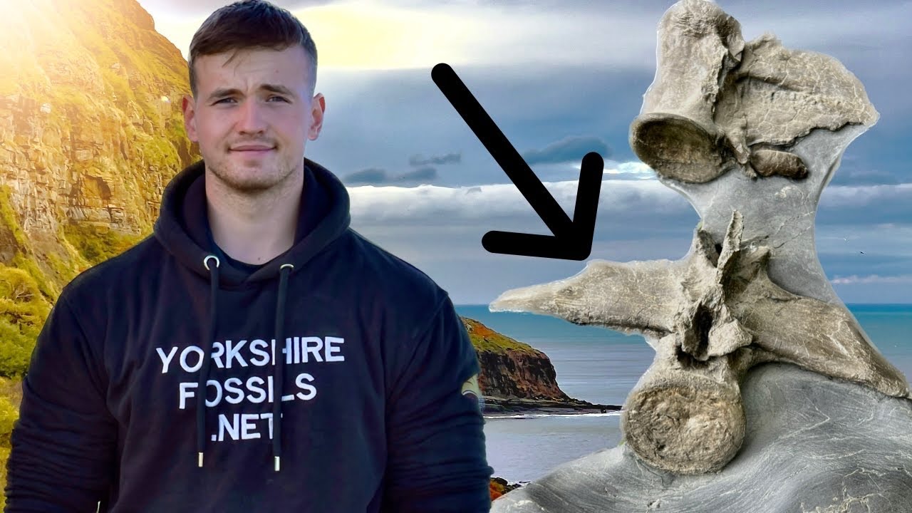 New CLIFF FALL + Fossil CROCODILE Spine! | Fossil Hunter