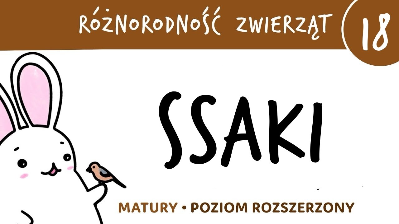 R&oacute;żnorodność zwierząt 18 🐸 Ssaki - biologia do matury, zoologia, biologia rozszerzona