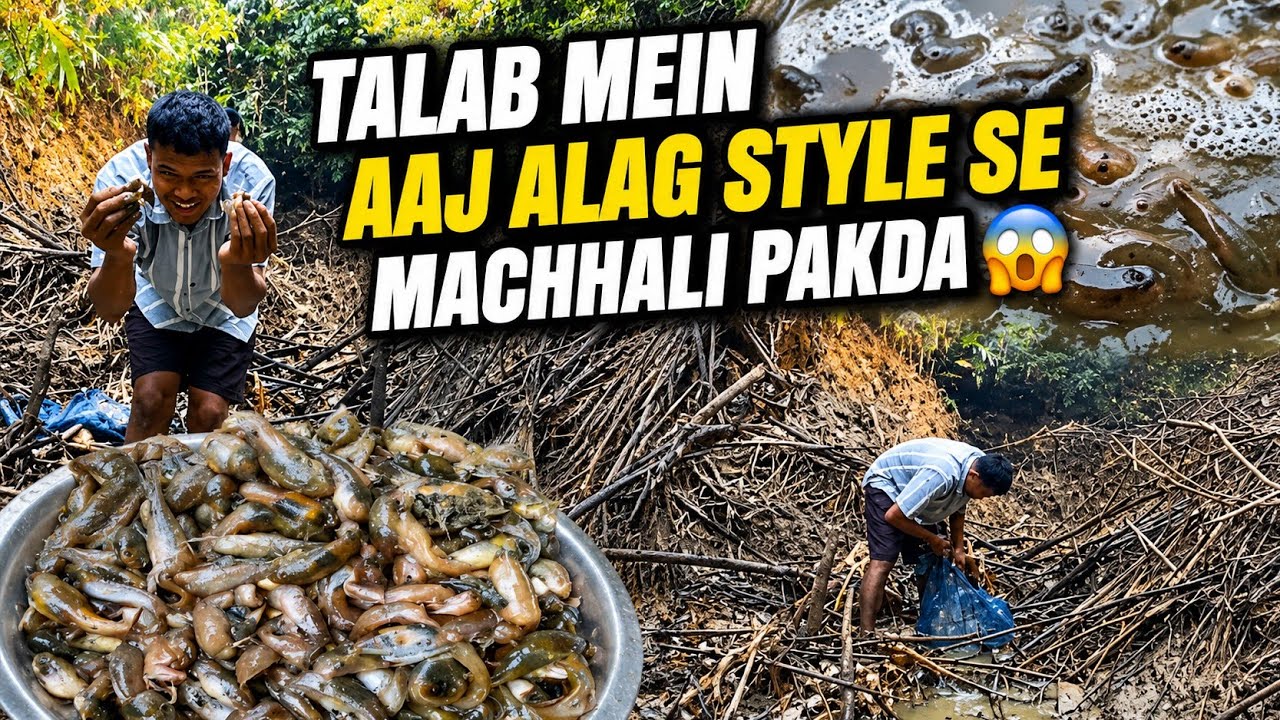 Aaj ka Fishing Experience Bilkul Alag tha || 😲🤘