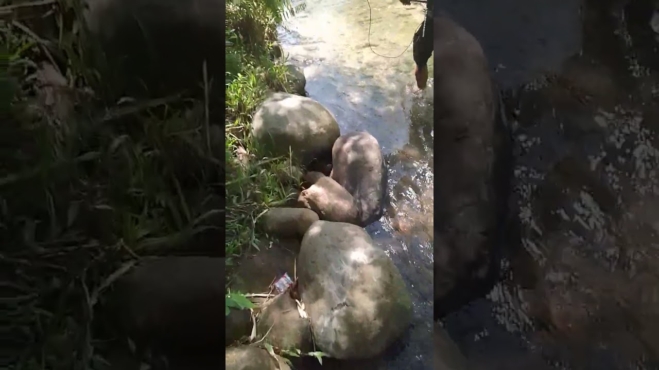 Magnhuli Ng pag ulam mga Lodi 😇😇