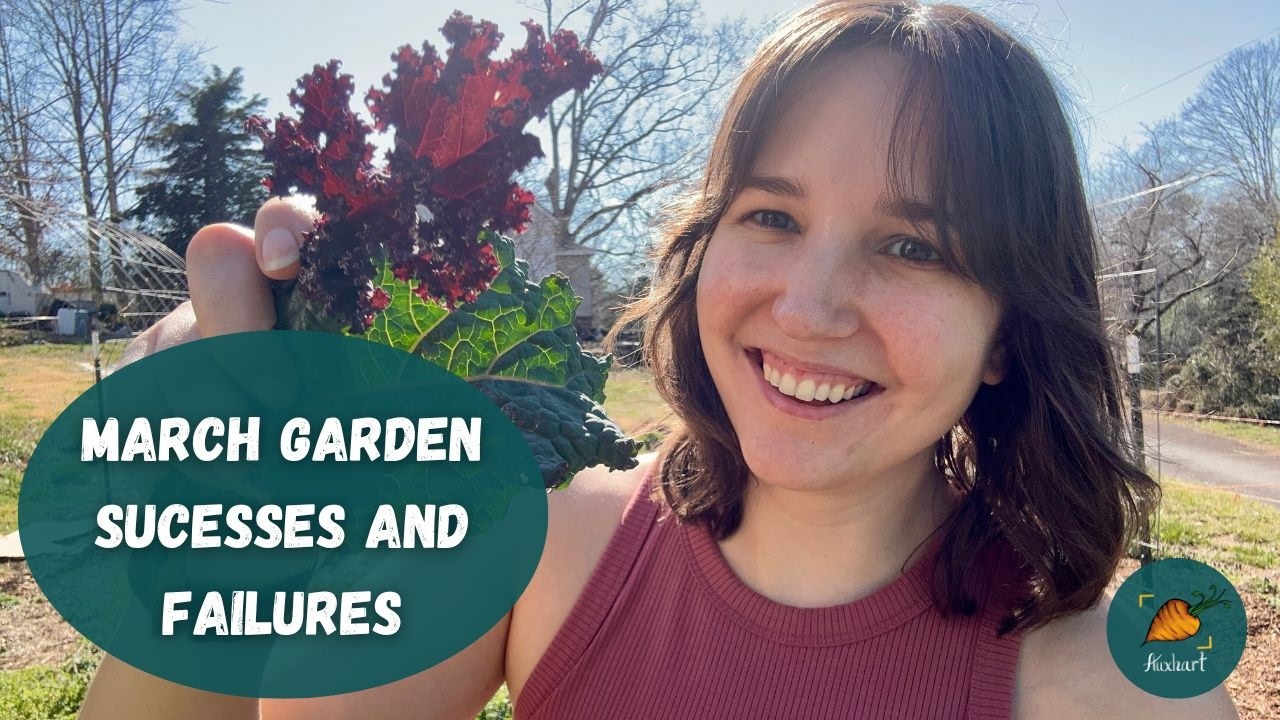Early spring garden tour! I'm surprised how green it is...