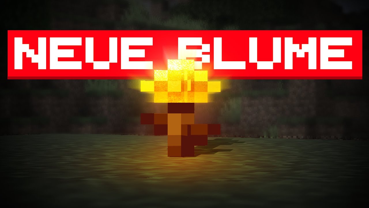 Minecraft hat ein EXTREM COOLES Item bekommen!