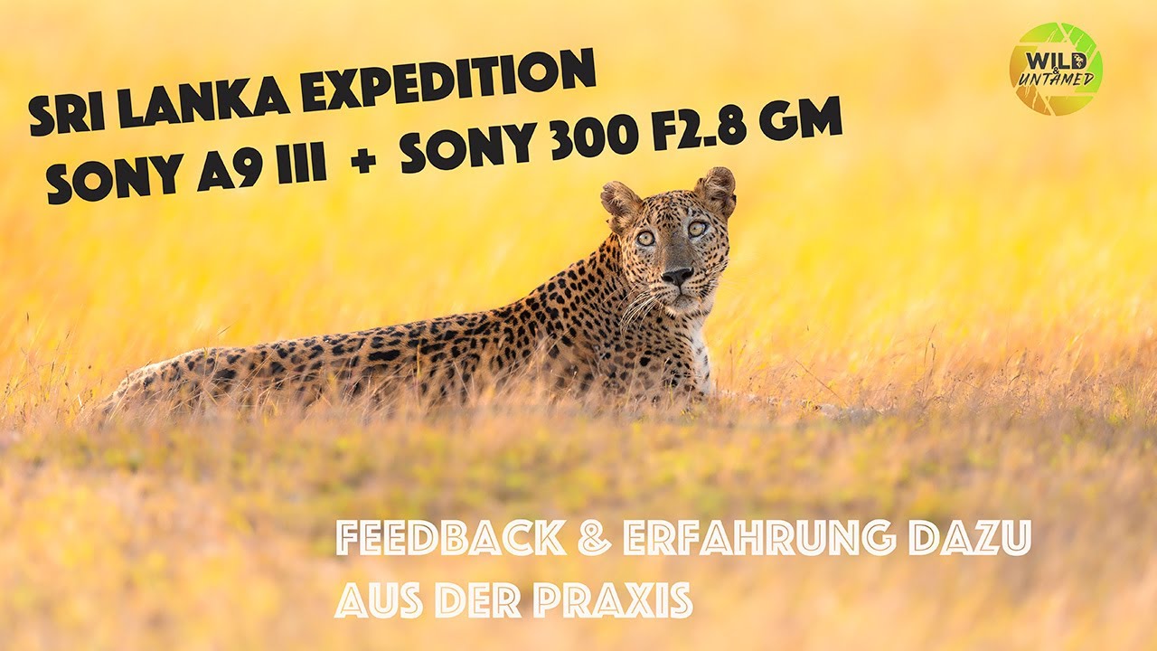 Sri Lanka Trip, SONY A9 III und SONY 300 F2.8 GM