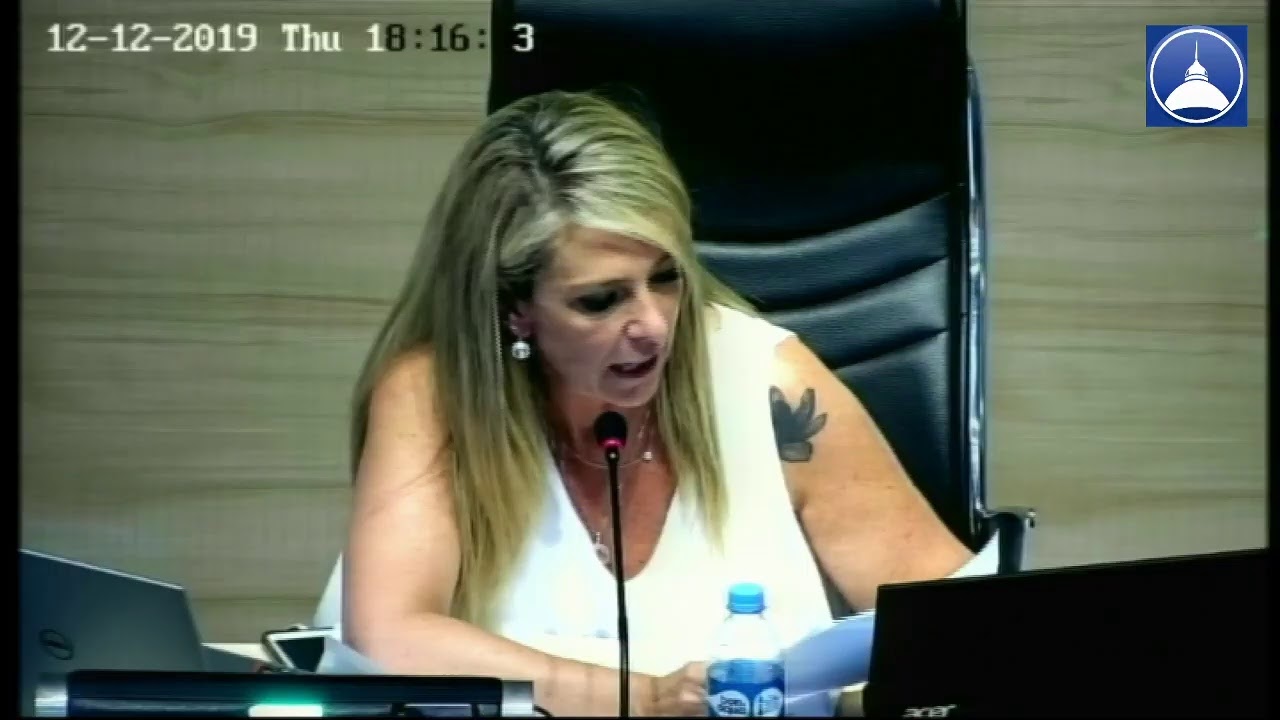 Sesi&ograve;n Concejo Rosario
