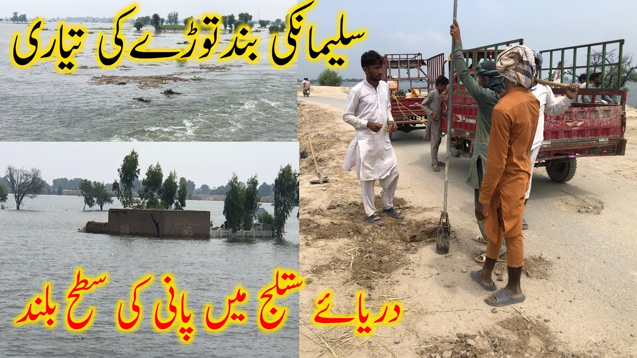 سلیمانکی بند توڑنے کی تیاری 😢 دریائے ستلج میں پانی کی سطح بلند 😱 | Sutllej River High Flood