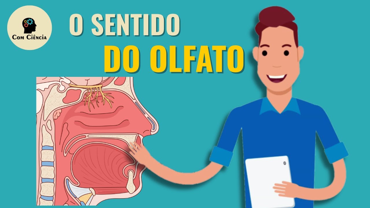O sentido do olfato - Resumo