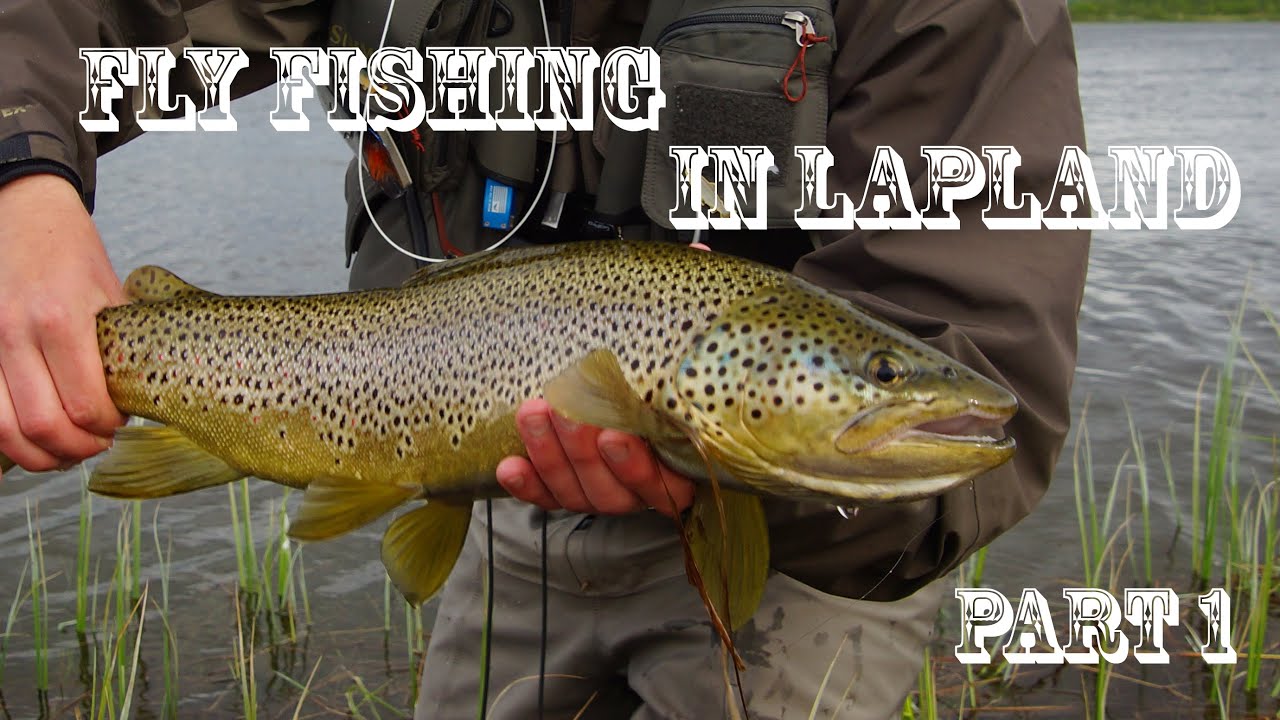 Fly fishing in Lapland part: 1 - Fjällflugfiske i Lappland del: 1