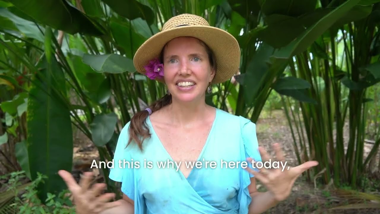 Seeds of Regeneration: Transforming Education in Costa Rica’s South Pacific
